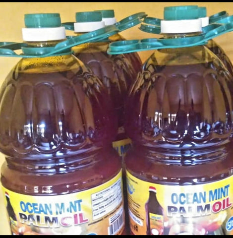 5 Litre Ocean Mint Oil image 0